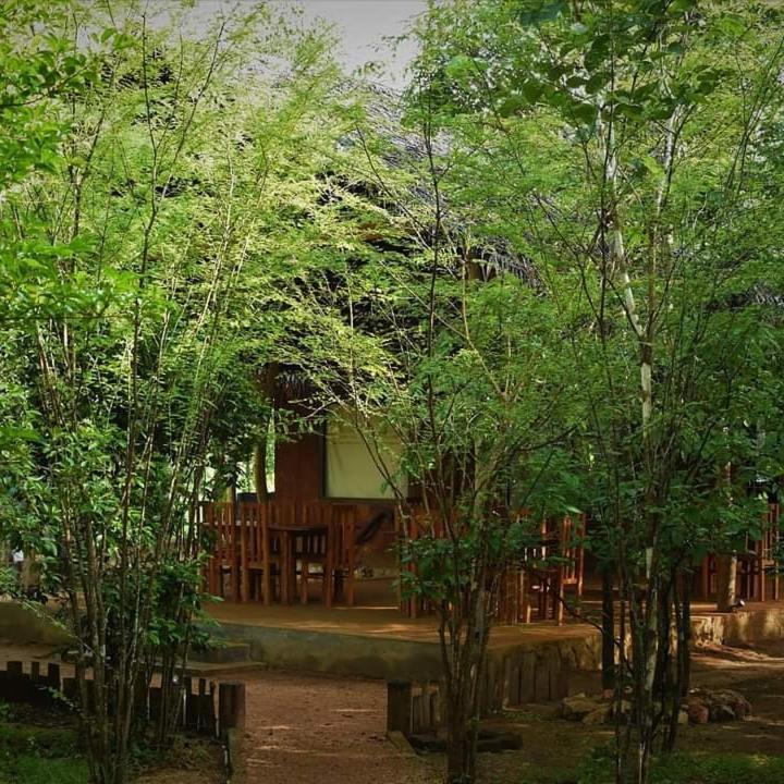Sky Forest Habarana Kültér fotó