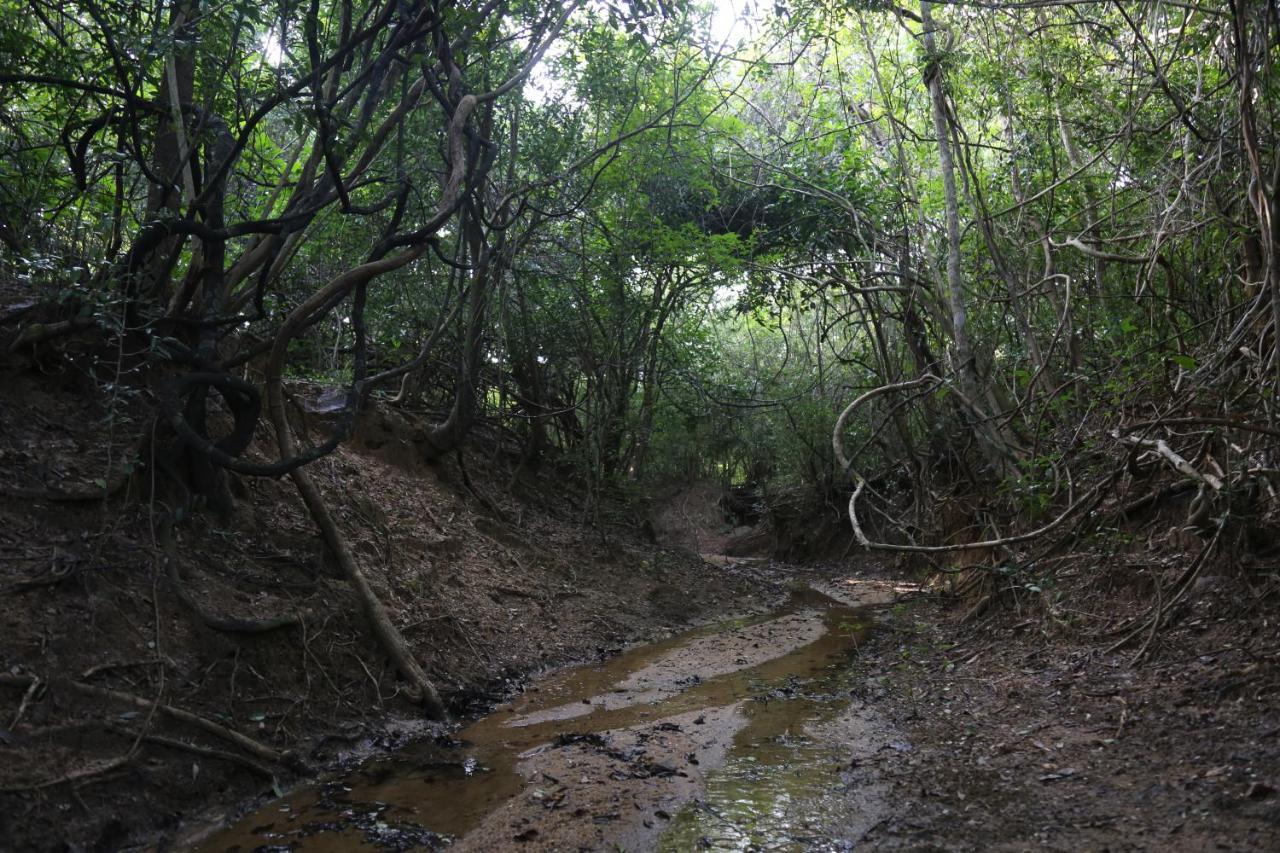 Sky Forest Habarana Kültér fotó